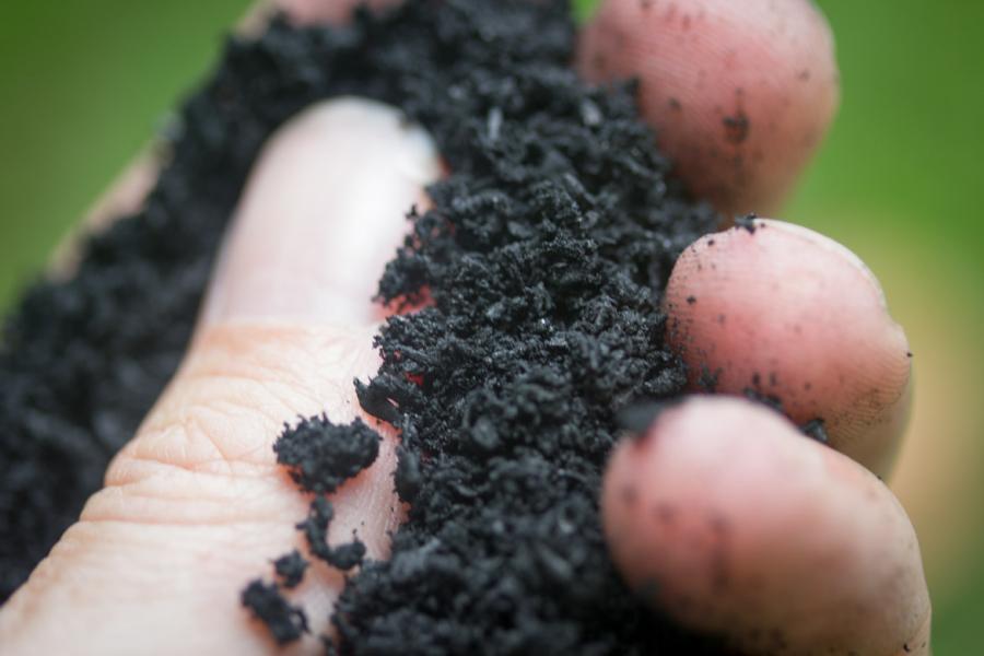 Biochar in hand