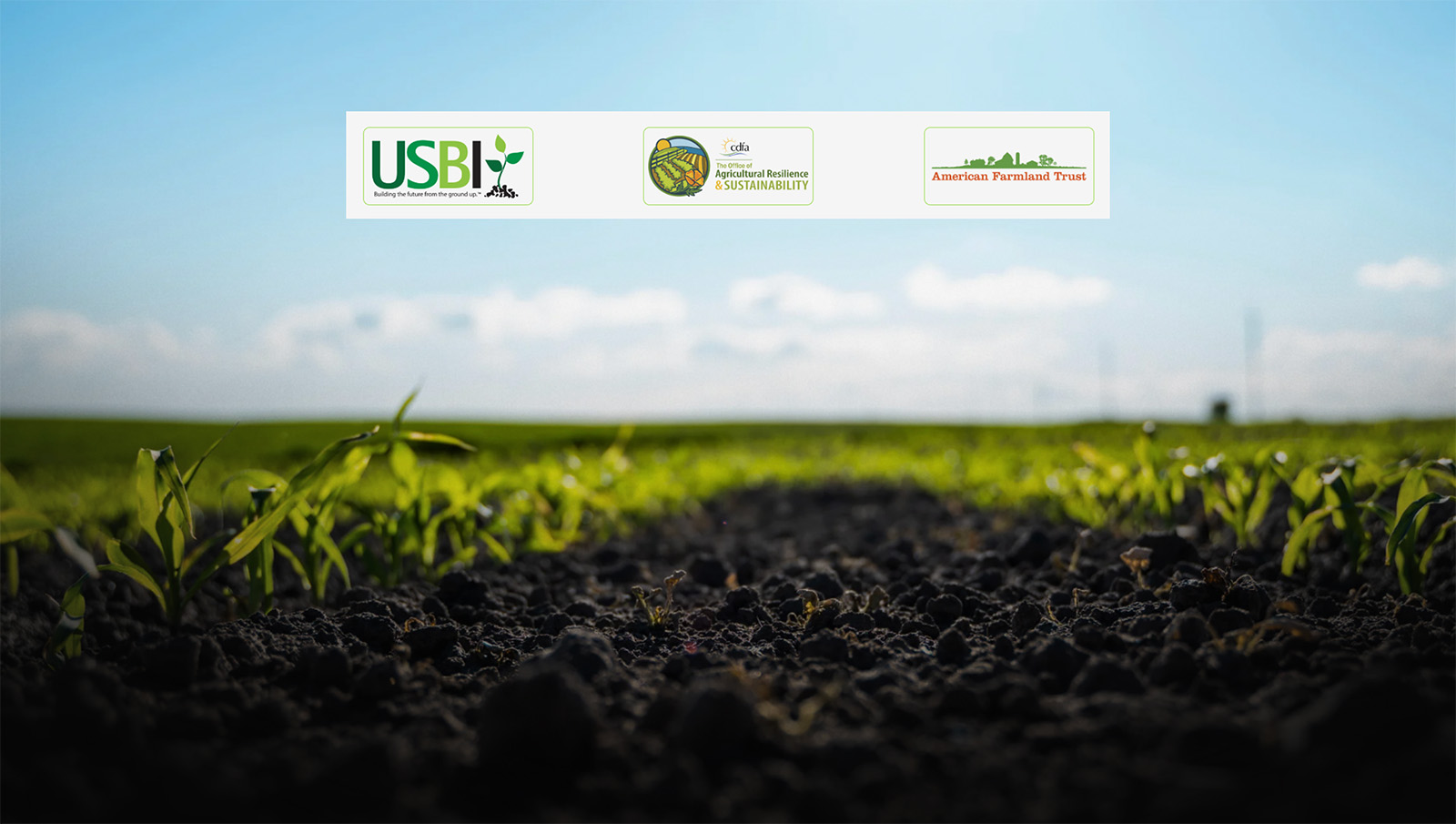 Growing with Biochar